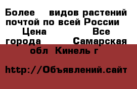 Более200 видов растений почтой по всей России › Цена ­ 100-500 - Все города  »    . Самарская обл.,Кинель г.